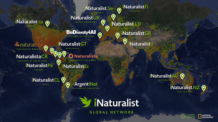 iNaturalist