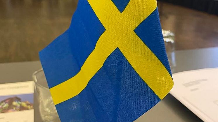 EFFO sveriges flagga.jpg