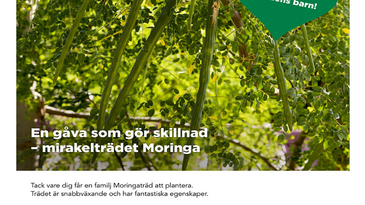 När du köper Moringaträd får du ett vackert gåvokort att ge bort