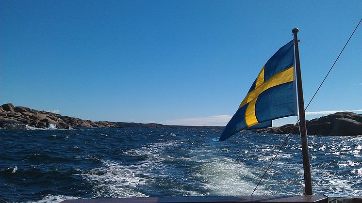 IVL utforskar åtgärder som kan minska miljöpåverkan från undervattensbuller