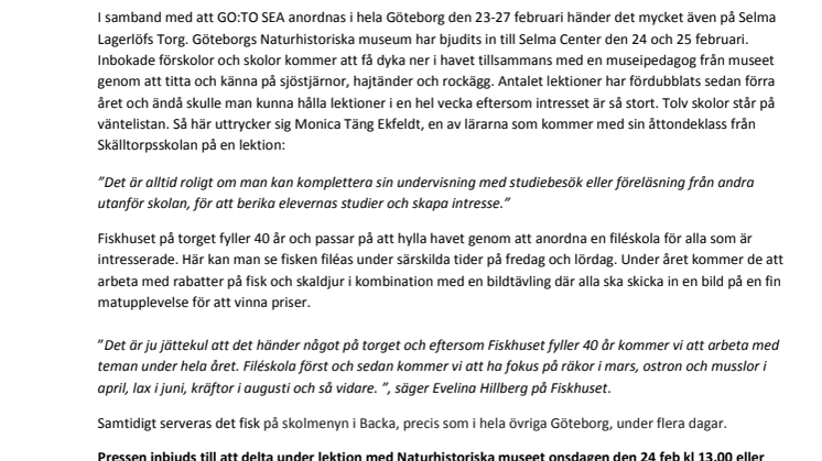 Stort intresse för att lära sig mer om hajar och rockor på Selma Lagerlöfs Torg