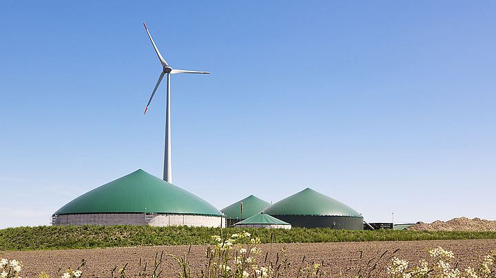 Foto: Oliver Hoffmann/iStock/Thinkstock