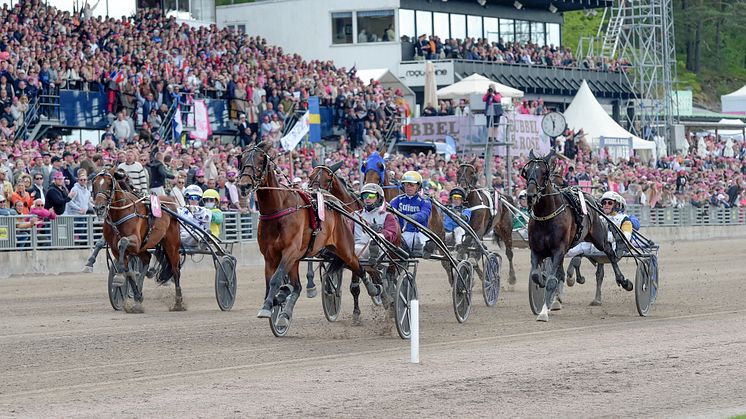 Hohneck och Gabriele Gelormini vann Elitloppet 2023. Foto: Lars Jakobsson/TR Bild