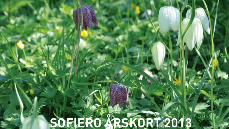 Sofiero först ut som park med friskvårdskort