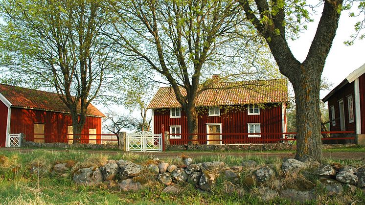 Bild: Fotograf Sigun Gröning. Bilden är fri att använda i media om fotograf anges.