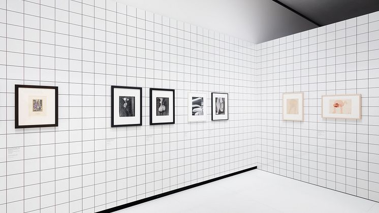 Images from the exhibition space