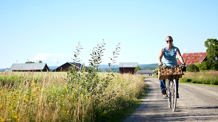 Järvsö Gårdstramp. Foto Destination Järvsö