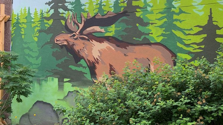 Skogens konung tjuvlyssnar på förbipasserande