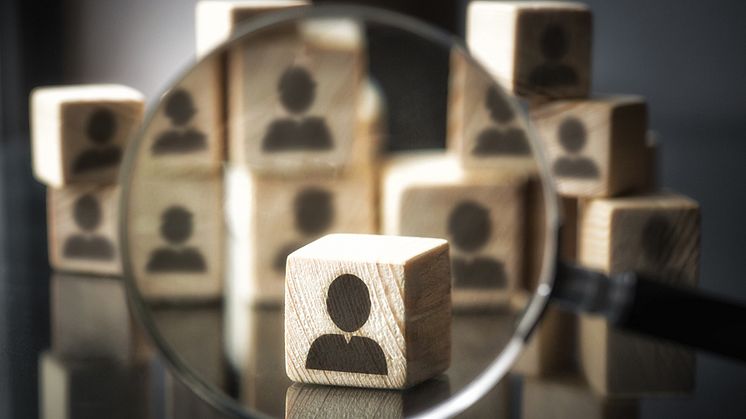 – Jeg er imponert over hvor raskt vi har gått over til digitale møter og hvilke muligheter som åpner seg, sier Myen Nguyen Michaelsen, leder for research og analyse i Experis Executive.