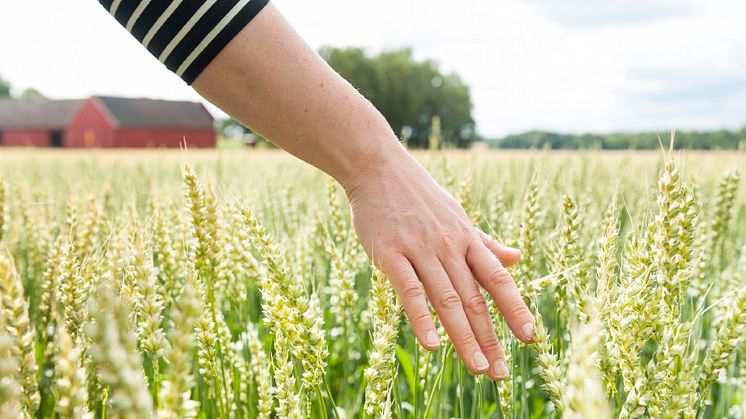 Istället för att producera mer av samma behövs nya produkter som företagen kan ta ut ett högre pris för. Foto: H.K. Andersson