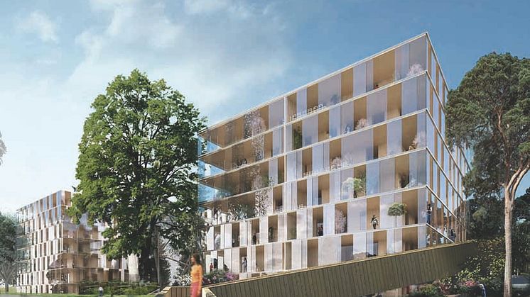 Kv Kängurun: Ett språng in i framtiden