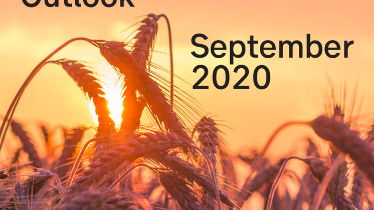 SEB, Nordic Outlook, September 2020