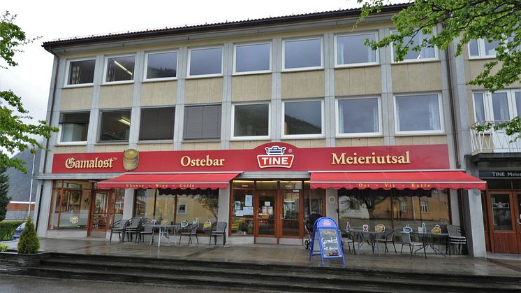 TINE Meieriet Vik