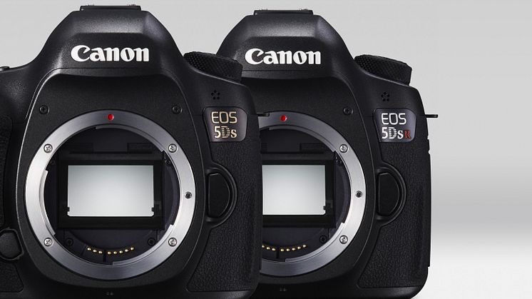 EOS 5DS White Beauty 15