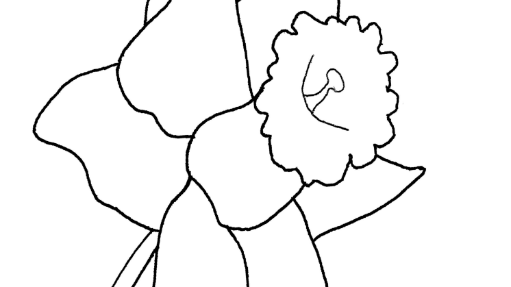 Colour and Create your own beautiful Daffodil