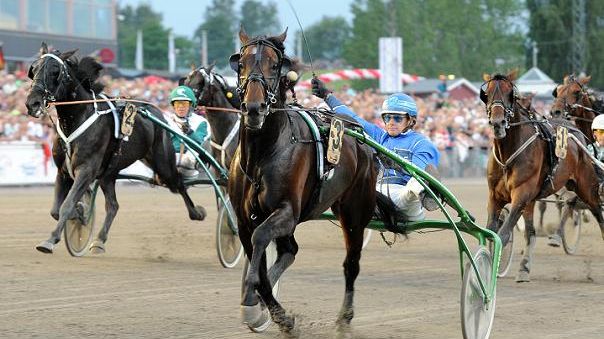 Nya hästar inbjudna till Elitloppet 2013