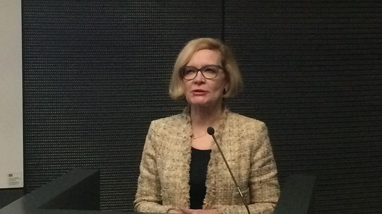 Potilaan hoitopolut on laitettava kuntoon  sote-uudistuksessa, sanoi Sydänliiton puheenjohtaja, sisäministeri Paula Risikko Hämeenmaan sydänpiirin 60-vuotisjuhlapuheessaan.