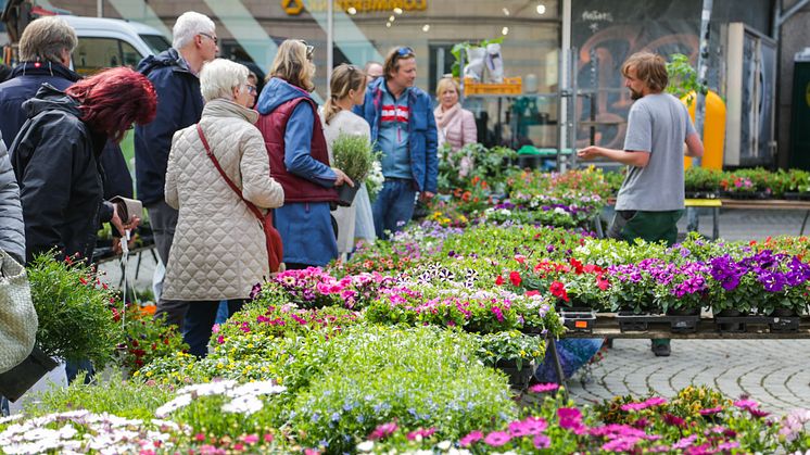 Kiel_blueht_auf_2018_Lightnic_Copyright_Kiel-Marketing (13)