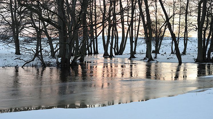 Tyréns rapporterar klimatförändringarnas effekter i Norrbotten 