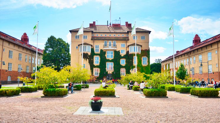​Högskolans studenter matchar Kristianstads mångfald