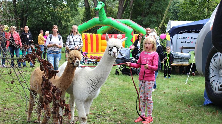 Tag der offenen Tür 2015