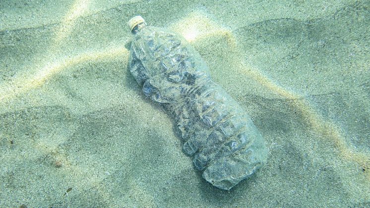 Underwater polution-shutterstock_276705197
