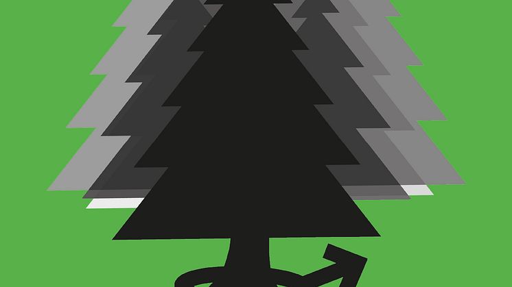 Bokrelease: Den öppna skogen: kön, genus och jämställdhet i skogssektorn