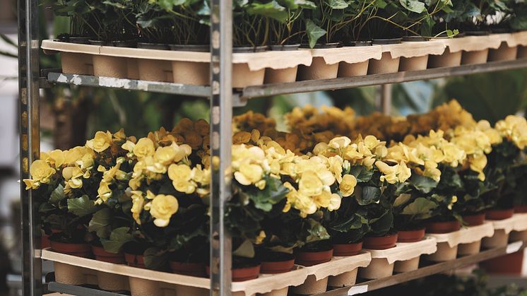 Blomsterlandet-HortiTray-CCvagn-liggande-3032212450
