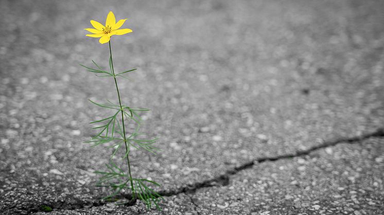 "In the midst of every crisis, lies great opportunity." - Albert Einstein