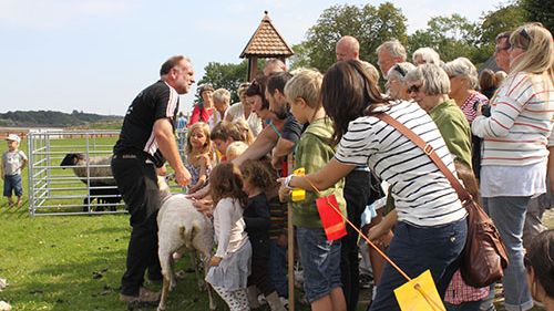 Skördefest på Katrinetorp 7 september