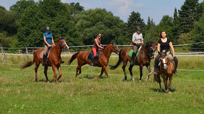 Reiten in Leipzig – aktiv sein rund ums Pferd