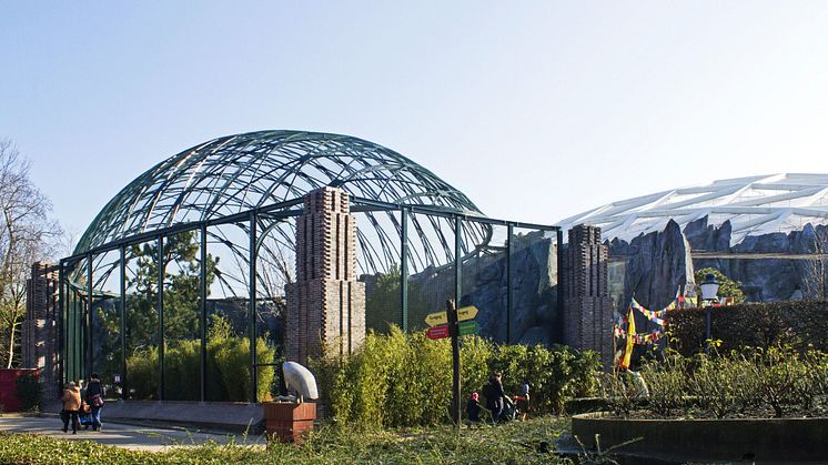 Freiflug-Voliere im Zoo Leipzig - neue Heimat der Gänsegeier