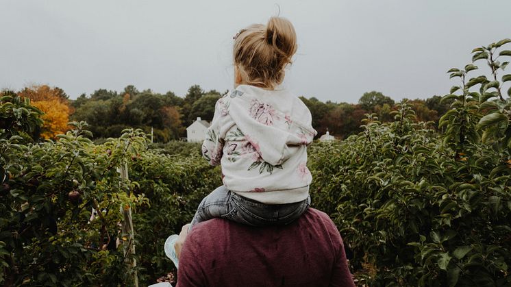 Kändisen som svenskar helst av allt vill ha som pappa