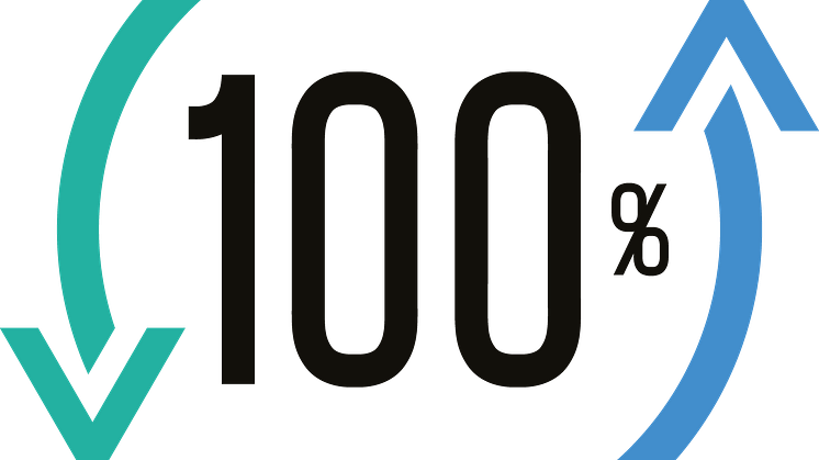 100 logo