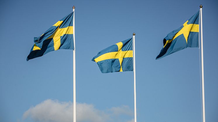 ​Barnens Dag och nationaldag på Tjolöholm