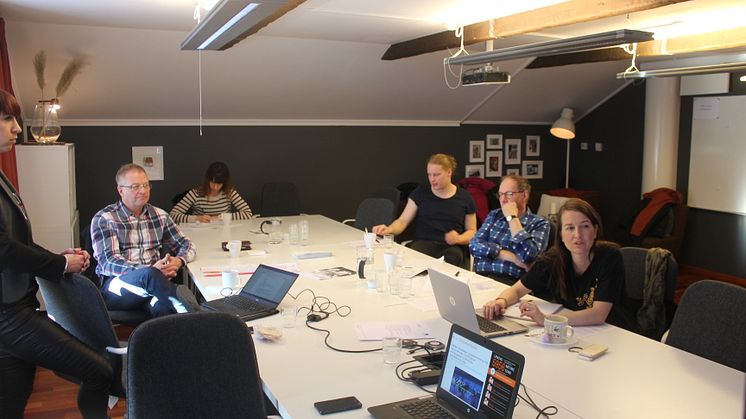 Referensgruppen i GreenS med representanter från Bodens kommun, Gröna bilister och Region Norrbotten tillsammans med projektledaren Isabella Katsimenis på Energikontor Norr.