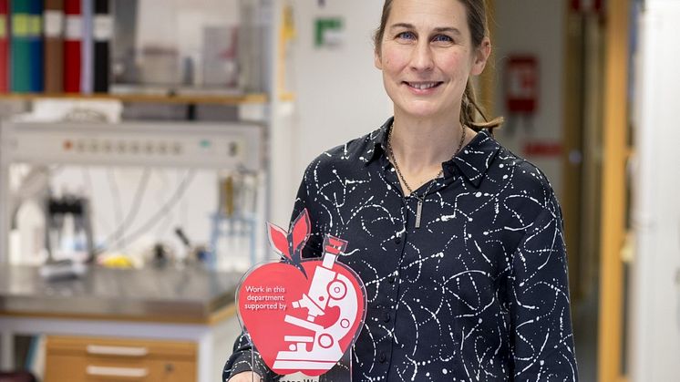 Dr Ingrid Wernstedt-Asterholm har tilldelats ett forskningsanslag på 2 000 000 kronor