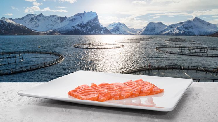 ​Verdien av sjømateksporten økte med 7 prosent i august