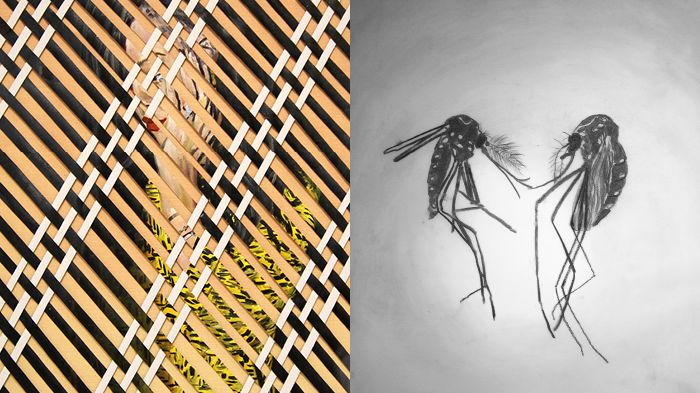 Vårvernissage på Röda Sten Konsthall: Vivian Caccuri + Ditte Ejlerskov