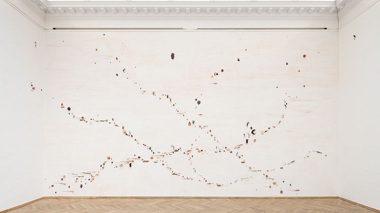 Ida Raselli, as a landscape wants the living, 2023