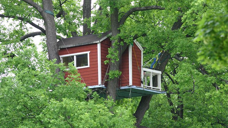 Hotell Hackspett