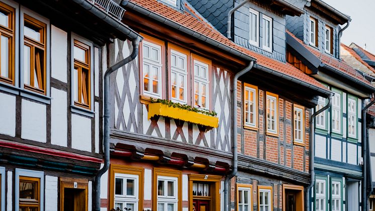 Polyluchs_Innenstadt_WTG(2)
