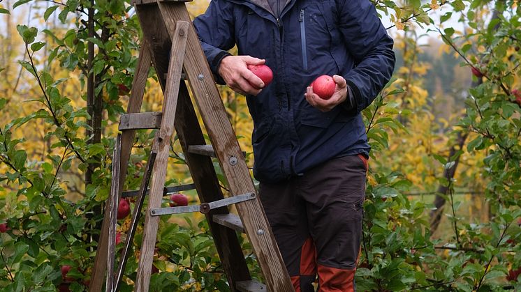 Roger Tiefensee