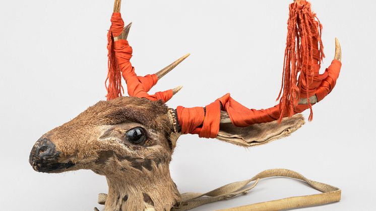 Yaqui objects returned - case becomes digital exhibition 