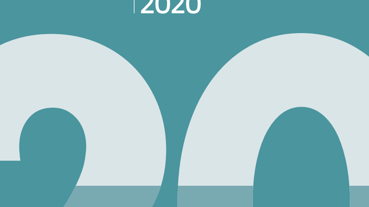 Jahresbericht 2020