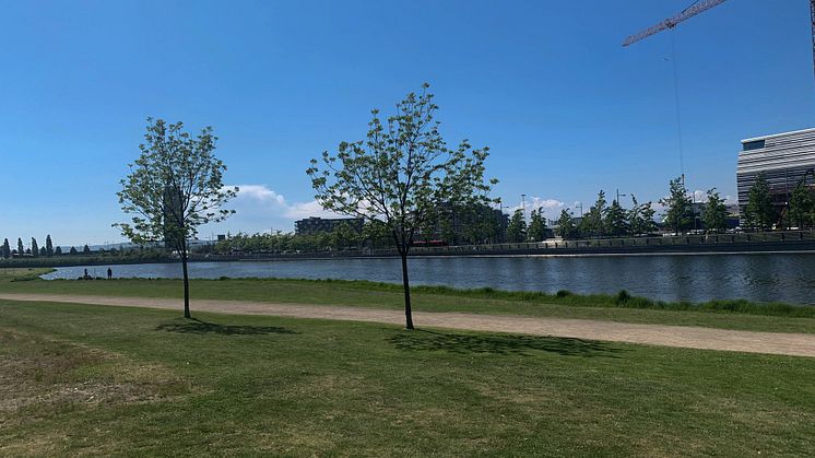 Middelalderparken ved vannspeilet