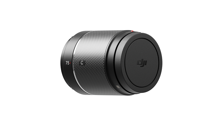 DJI DL 75_white_back_left 45.png