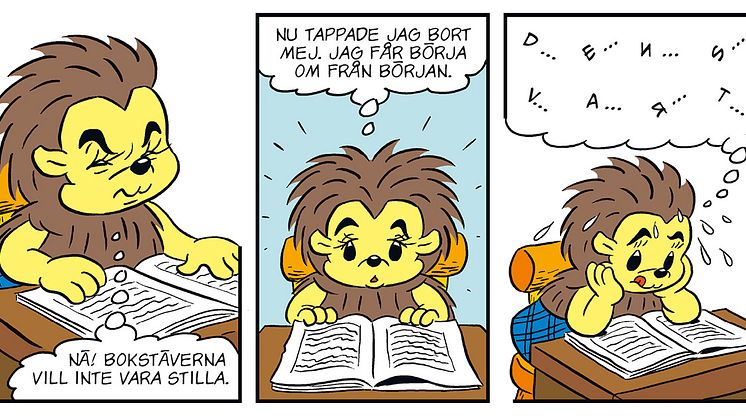 Bamse 15 2023 PiggaKott
