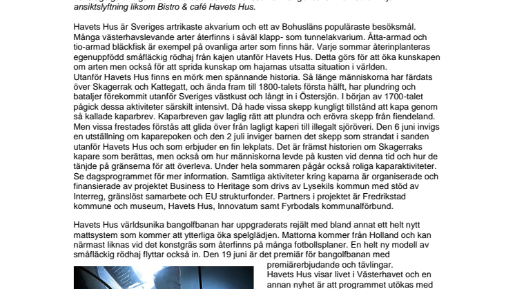 Kapare strandar på Havets Hus i sommar