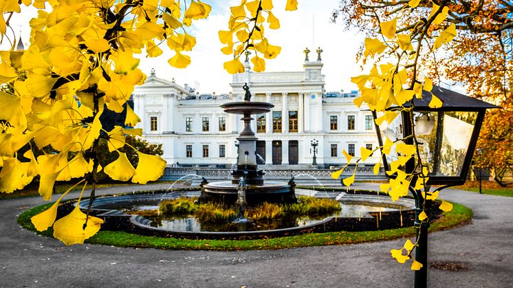 Universitetshuset, Lunds universitet